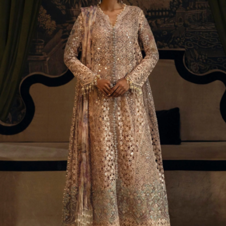 Sana Safinaz Unstitched Organza 3 Piece Suit
